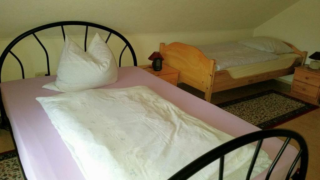 Ferienhaus Riedl Klingenthal Ngoại thất bức ảnh
